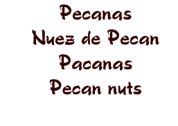 pecanas nuez de pecan pacanas pecan nuts